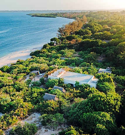 The Slow Leopard Kilwa