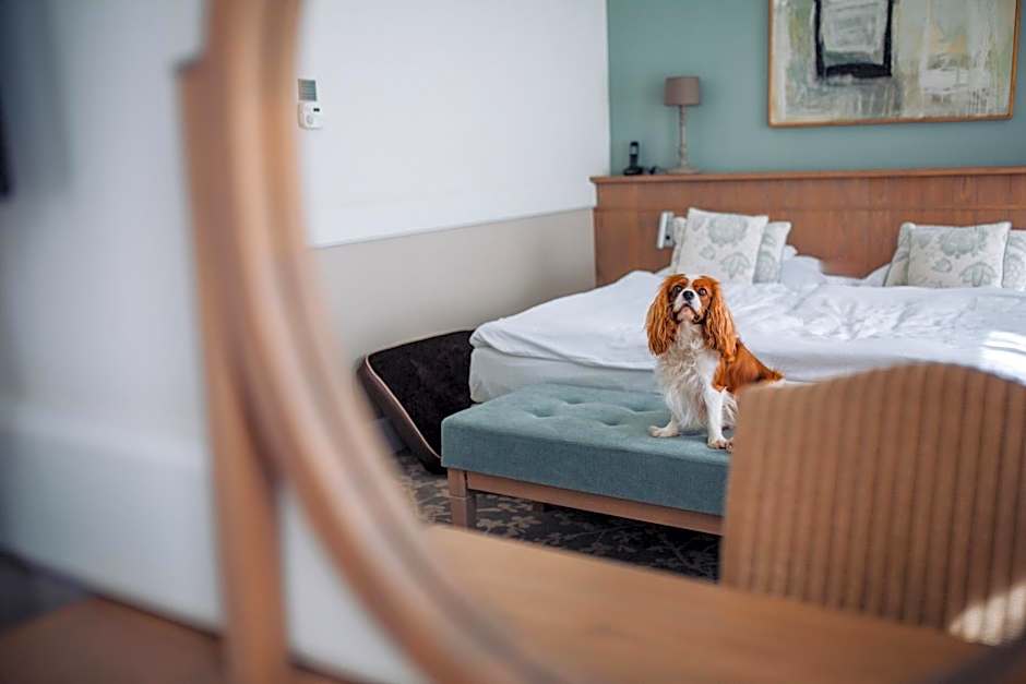 Art Hotel