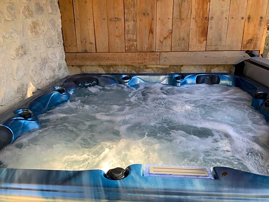 Mas au C¿ur de La Provence & SPA
