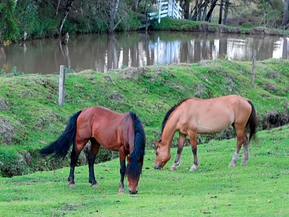 Pousada Recanto dos P¿neis Rio Rufino Urubici