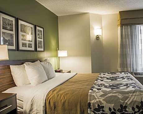 1 King Bed, Nonsmoking