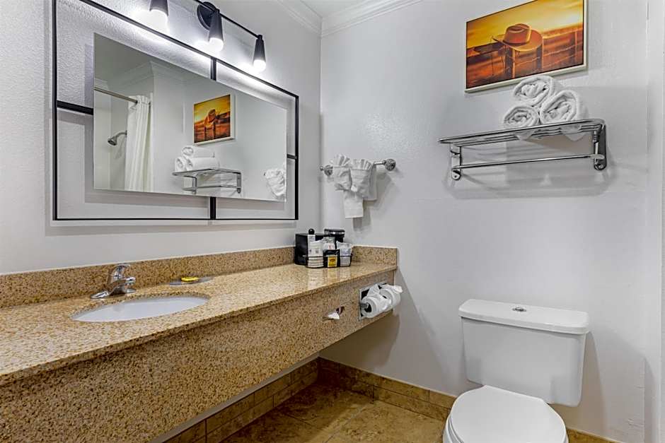 Best Western Plus Southpark Inn & Suites