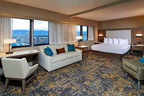 1 King Bed 1 Bedroom Suite