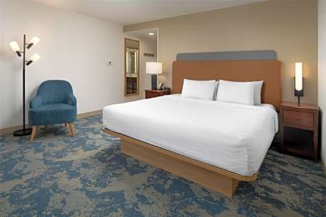 1 King Mobility/hearing Acc Ri Shower Nosmok Vis Firealrm/door/phn Alrt/hdtv Hdtv/free Wi-fi/ Hot Br