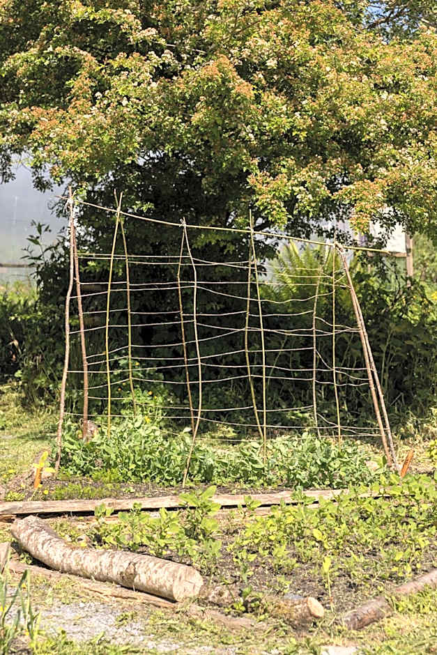 The Common Knowledge Centre