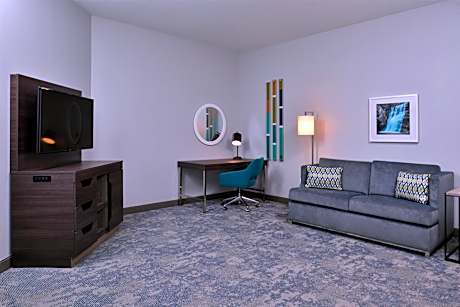 1 King One Bedroom Suite Nonsmoking