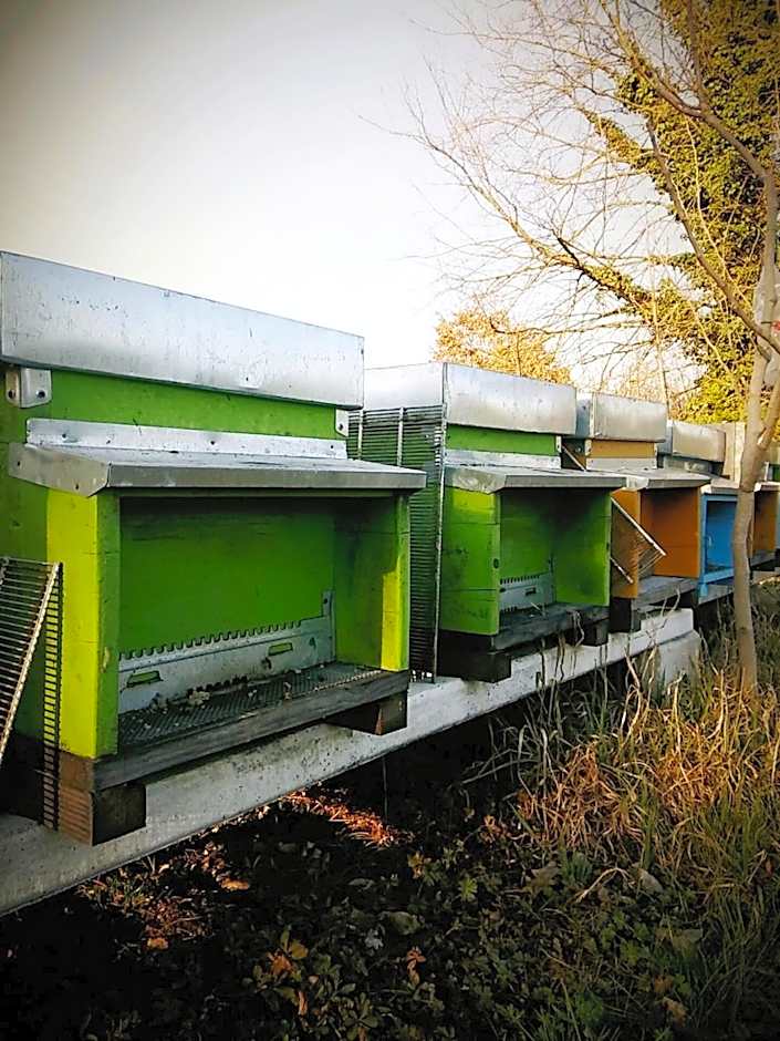 Agriturismo Honey Farm