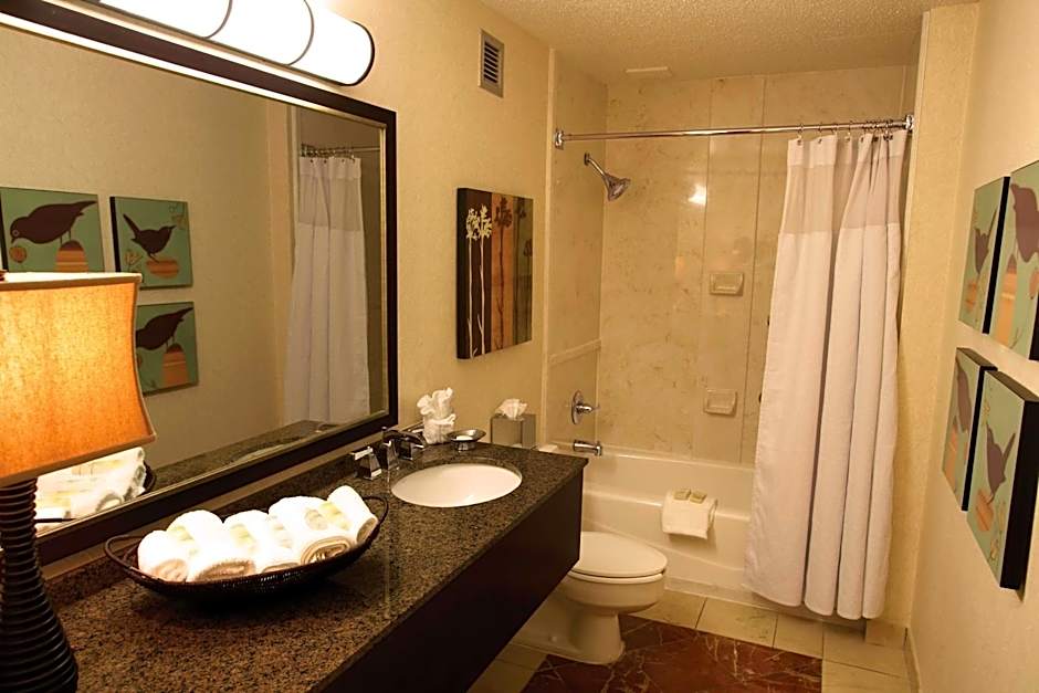 Sonesta Atlanta Airport North