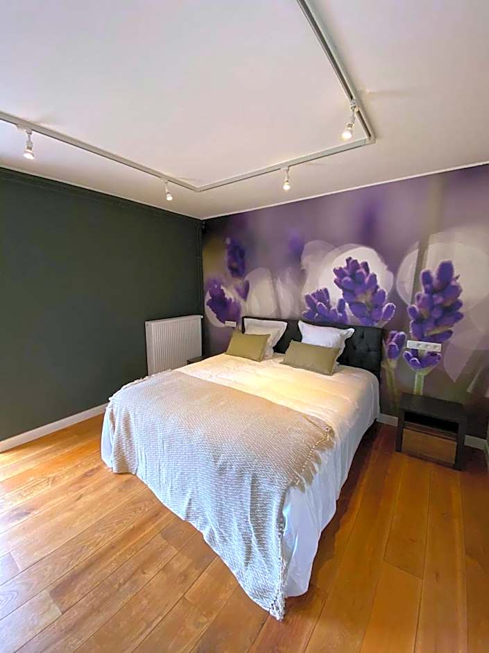 B&B Het Doctershoes