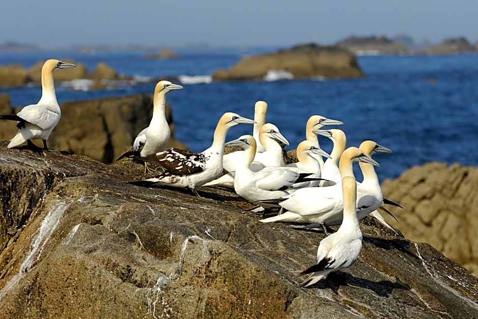 Logis Hôtel Ker Mor