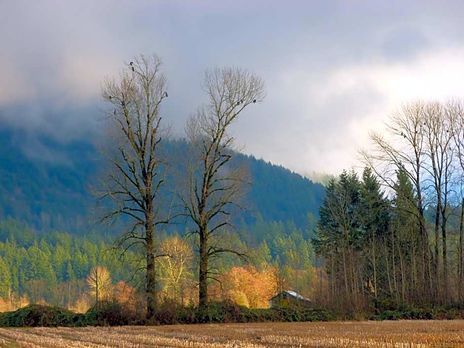 Harrison Hammond House Farmstay
