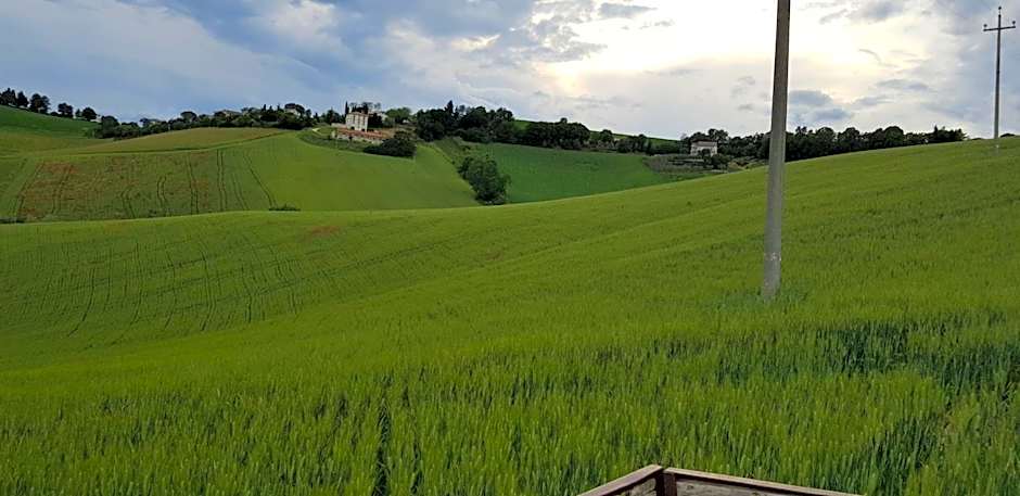 Il Vecchio Pioppo