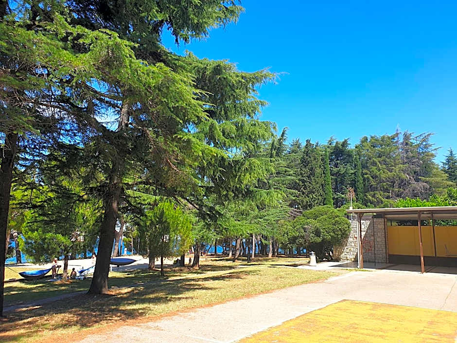 Youth Hostel Pinesta