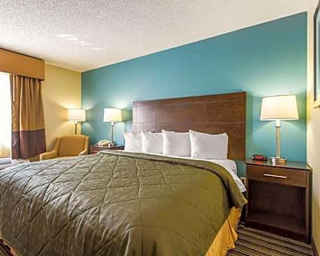 1 King Bed, Nonsmoking, Accessible
