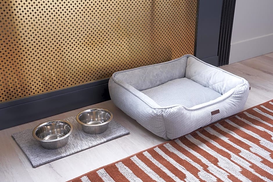 Hotel Vesper, Houston, a Tribute Portfolio Hotel