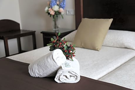 Double Room with Extra Bed with Terrace