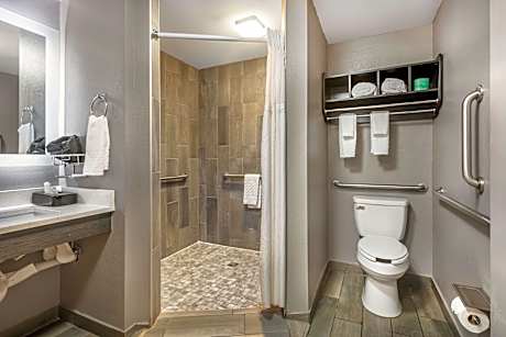 Accessible - 1 King, Mobility Accessible, Communication Assistance, Roll In Shower, Non-Smoking, Ful