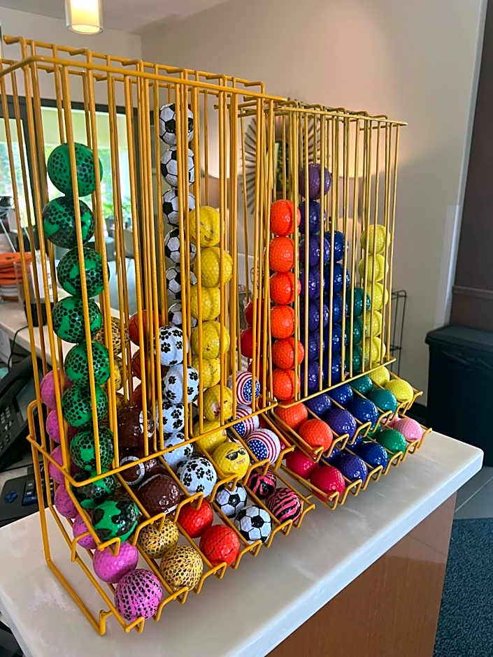 Sun & Ski Inn and Suites