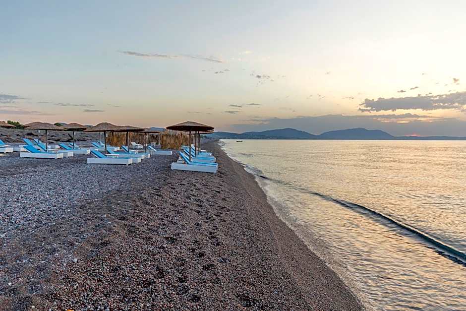 Eco Beach And Magic Garden Hotel