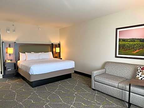 Studio Accessible King Size Bed