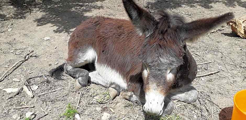 Casa Rural ENTRESIERRAS