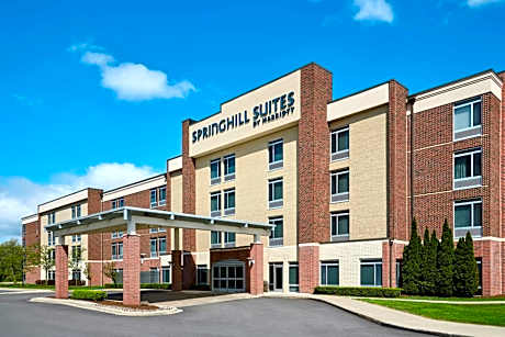 SpringHill Suites by Marriott Detroit Metro Airport Romulus