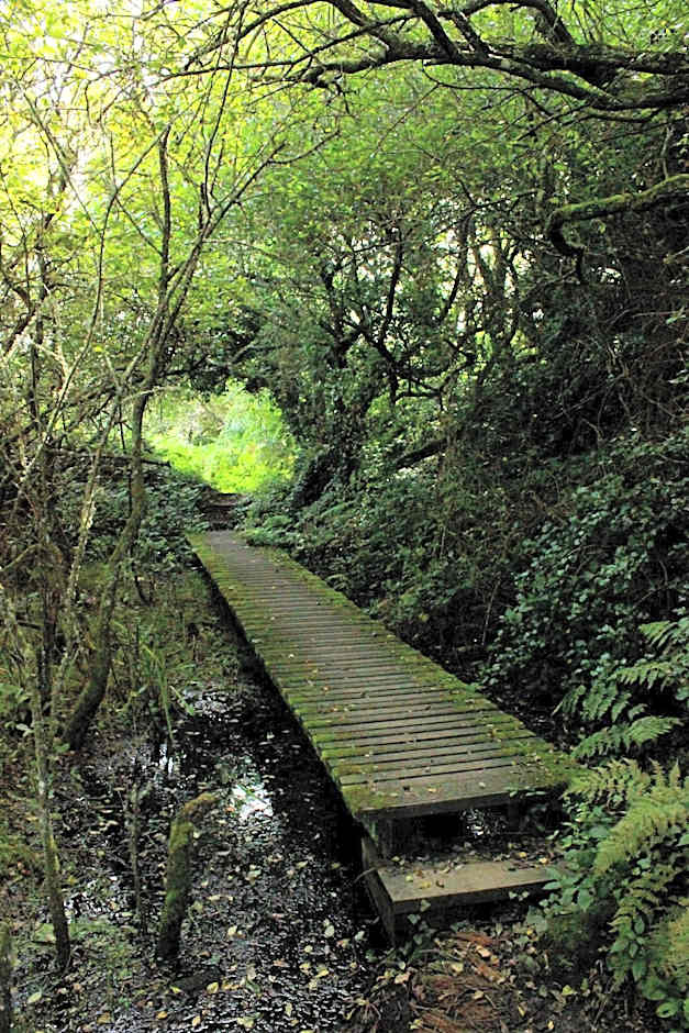 Wheal Rodney Holiday Park