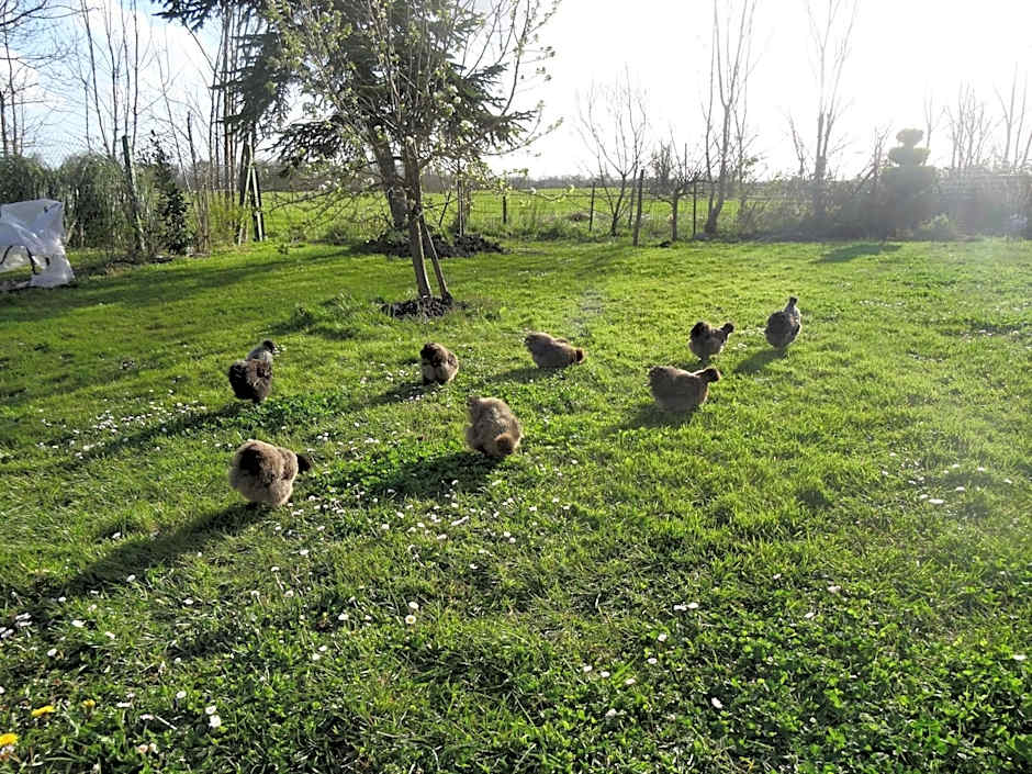 La Fontenelle Chambres d'Hôtes