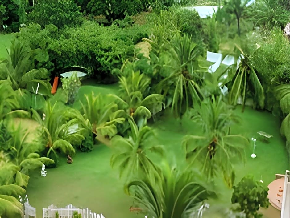 Hotel Singaar International