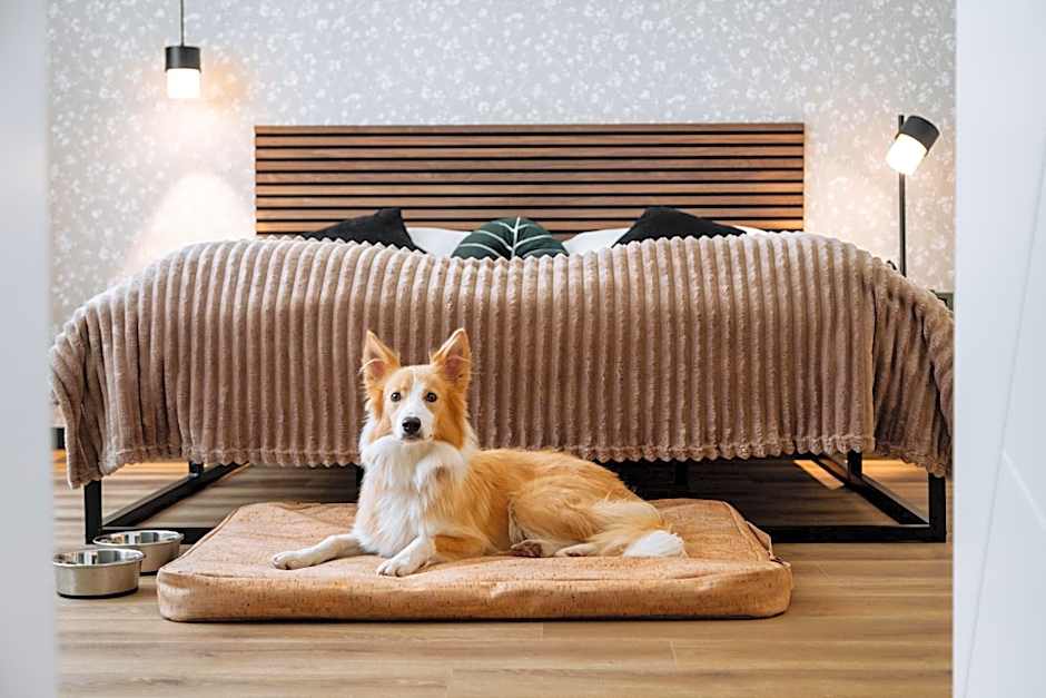 Urban Jungle Apartments