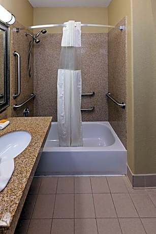 1 King Bed Deluxe Mobility Accessible Suite Non-Smoking