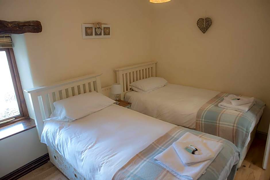 The Horse and Jockey