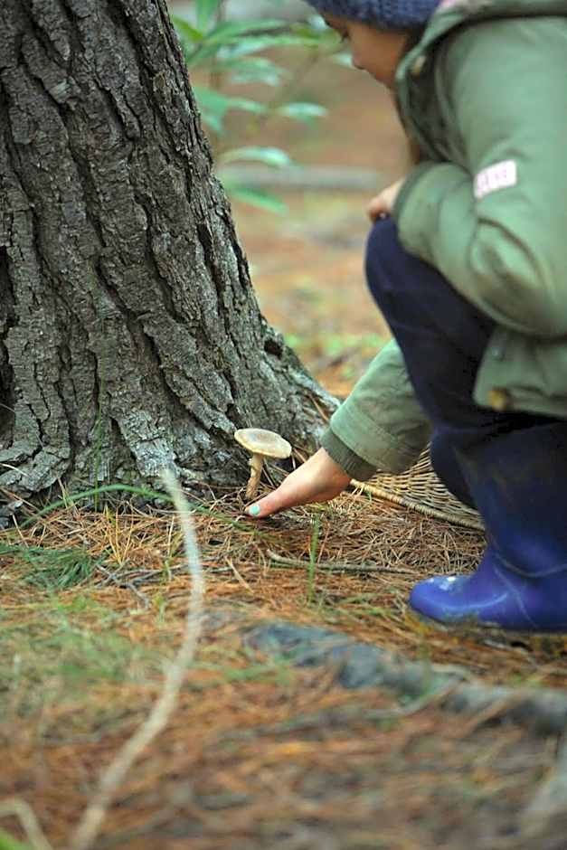 A Hilltop Country Retreat