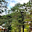 The Forest Lodge at Camp John Hay