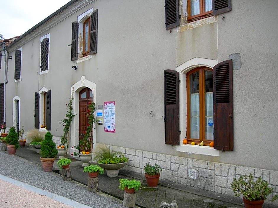 Sous la Glycine