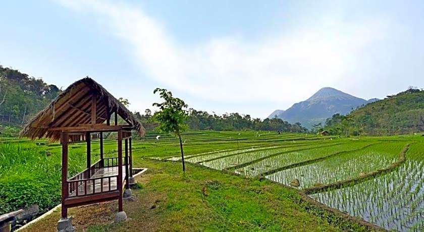 Grand Whiz Hotel Trawas