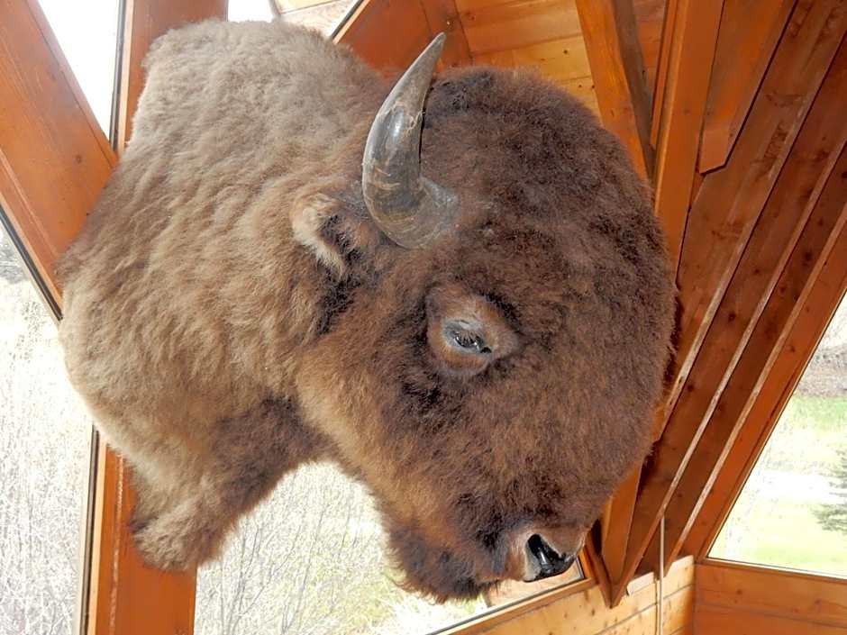 Alaska Adventure Cabins