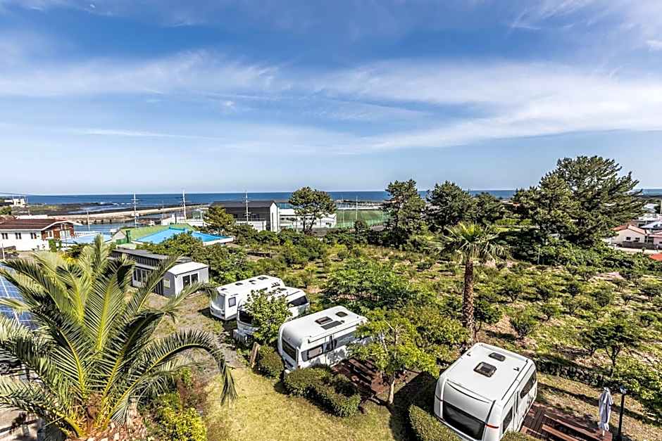 Jeju Pine Beach