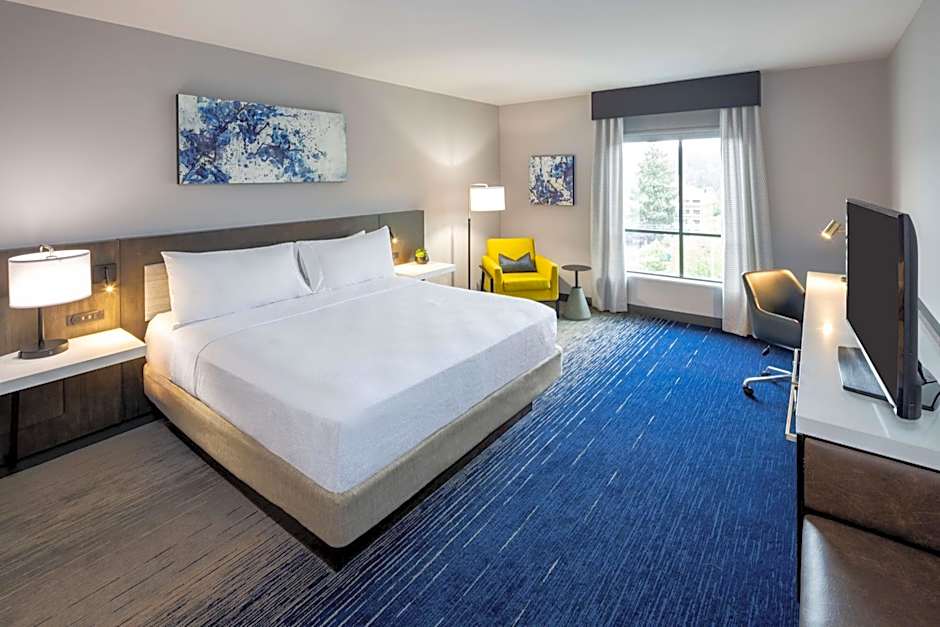 Hilton Garden Inn Redmond Town Center, WA