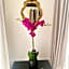The Flower B&B