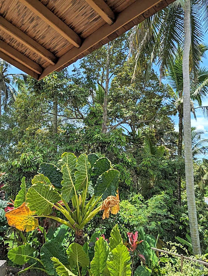 Puri Dajuma Terrace Eco Lodge & Spa