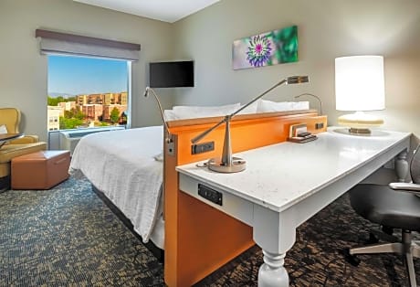 Premium Room 1 King Bed