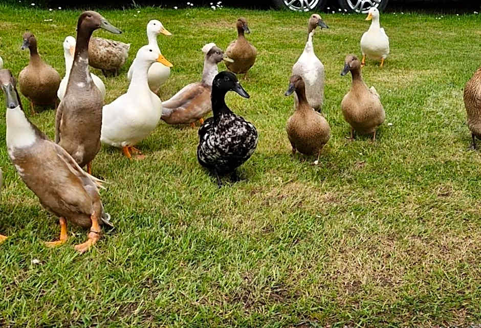 Beautiful 2 bedroom caravan, holiday park Tenby