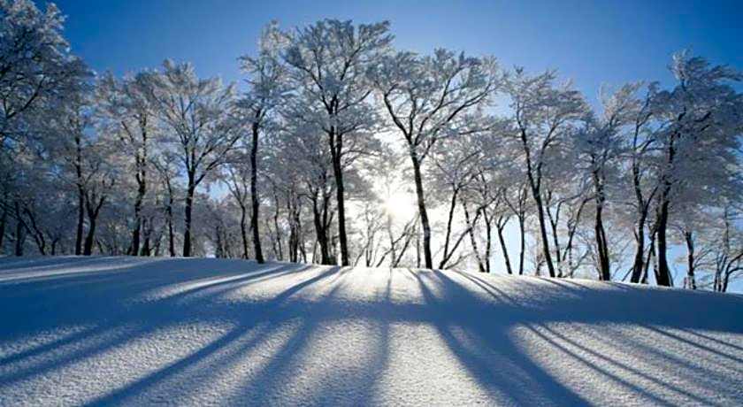 Tanigawa Valley Lodge & Coffee Roastery