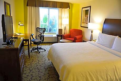 1 King Bed