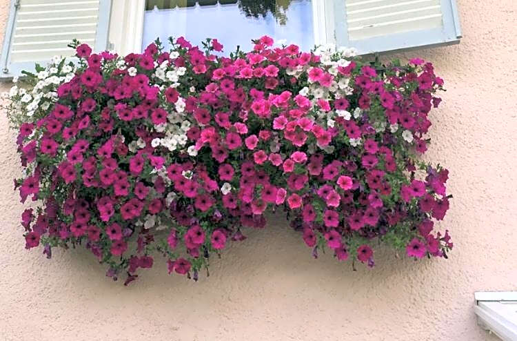 B&B MARINA contacless check in