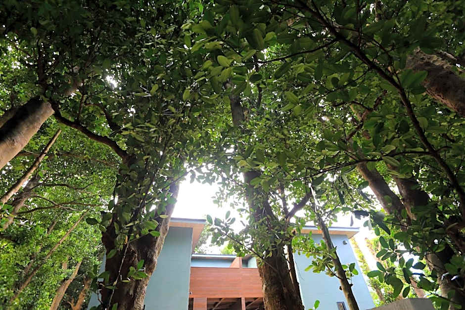 Tabinoteitaku Okinawa Bise HOMANN CONCEPT