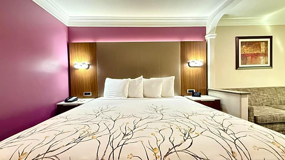 Best Western Plus Suites Hotel - Los Angeles LAX Airport