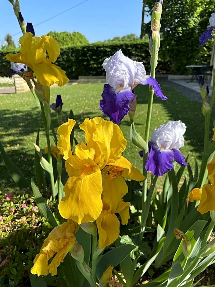Hôtel Le Mas del Pechs - Chambres avec terrasse