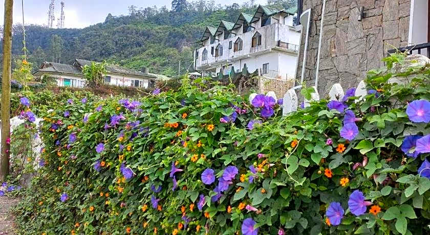 Villa de Roshe